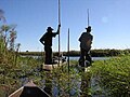 Waiting for the hippos in the delta