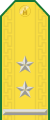 Parade uniform shoulder board (Lieutenant colonel)