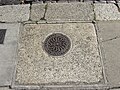 Ornate coal hole cover