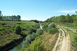 Skyline of San Zenone al Po