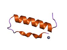 PDB 1ppt EBI.jpg