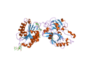 2i6s​: Komponenta komplementa C2a