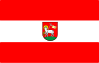 Bandeira do Condado de Wieluń
