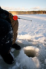 Pienoiskuva sivulle Pilkkiminen