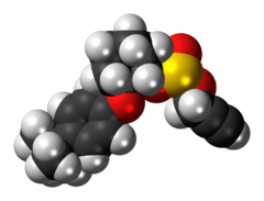 Space-filling model