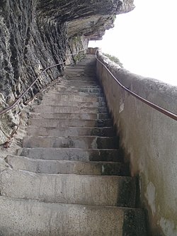 阿拉贡国王台阶