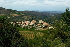 Image illustrative de l’article Haute-vallée-de-l'aude (IGP)