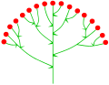 Compound Corymb