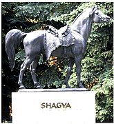 Shagya standbeeld