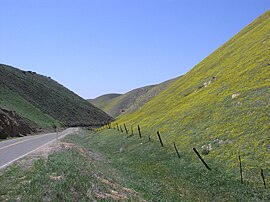 TemblorMountainsSpringtime.jpg