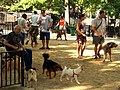 Tompkins Square Park