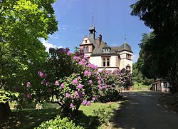 Rhododendron säumt die Auffahrt zu Herrenhaus und Remise