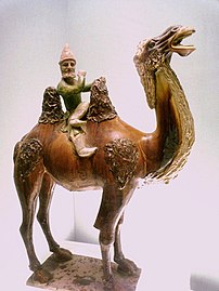 Cudzoziemiec na wielbłądzie. Muzeum Szanghajskie
