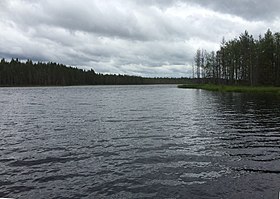 Северо-западная оконечность Куйккаярви