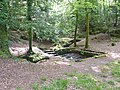 Le site des Trois fontaines, au sud de l'étang du Hénan : vue d'ensemble.