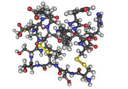 Endothelin-1