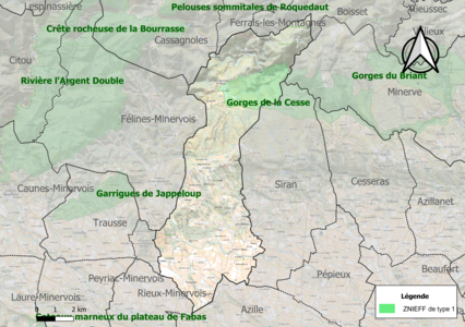 Carte de la ZNIEFF de type 1 sur la commune.