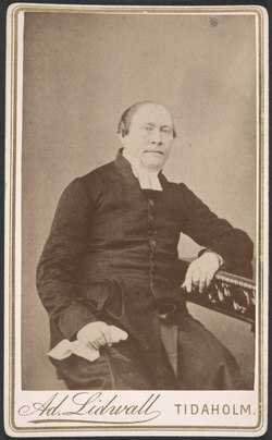 Anders Wilhelm Ingman 1860-luvun lopulla.