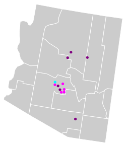 Map of Arizona cities that had sexual orientation and/or gender identity anti-employment discrimination ordinances prior to Bostock
.mw-parser-output .legend{page-break-inside:avoid;break-inside:avoid-column}.mw-parser-output .legend-color{display:inline-block;min-width:1.25em;height:1.25em;line-height:1.25;margin:1px 0;text-align:center;border:1px solid black;background-color:transparent;color:black}.mw-parser-output .legend-text{}
Sexual orientation and gender identity with anti-employment discrimination ordinance
Sexual orientation and gender identity solely in public employment
Sexual orientation in public employment
No anti-discrimination ordinance1
1Since 2020 as a result of Bostock, discrimination on account of sexual orientation or gender identity in public and private employment is outlawed throughout the state. Discrimination against state employees based on their sexual orientation has been illegal since 2003. Arizona cities with sexual orientation and gender identity protection.svg