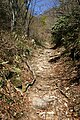 滋賀県側の登山道、石畳が残る