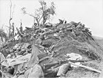 7th Division soldiers on Shaggy Ridge in January 1944