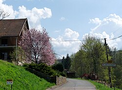 Skyline of Blancherupt