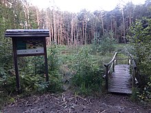 Blick auf das Saugartenmoor mit Informationstafel und Beobachtungssteg. August 2020