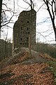 Ruïne Burg Walden burg mèt blik op zuidweste