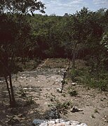 Sacbé w Chichen Itza