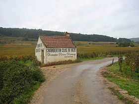 Image illustrative de l’article Chambertin-clos-de-bèze