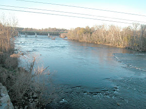 Congaree0262.jpg