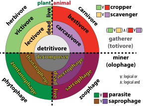 Consumer categories based on material eaten (plant: green shades are live, brown shades are dead; animal: red shades are live, purple shades are dead; or particulate: grey shades) and feeding strategy (gatherer: lighter shade of each color; miner: darker shade of each color) ConsumerWikiPDiag.svg