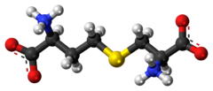 Модел на топка и пръчка на молекулата на цистатионин като цвитерион
