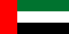 The flag of the United Arab Emirates