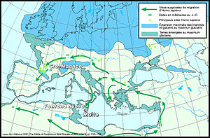 colonisation de l'Europe par Homo sapiens