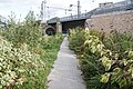 Les voies de la Petite Ceintures, intégrées au jardin, avant leur passages sous le faisceau de la Gare de l'Est