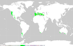 Miniatura per Clima mediterranèu