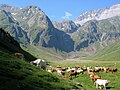 Vignette pour Vallée de la Géla