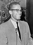 Malcolm X ayns 1964