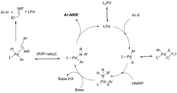 Ciclo catalitico dell'amminazione di Buchwald-Hartwig