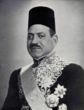 Mustafa el-Nahhas.PNG