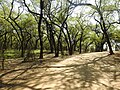 Inner view of Nature Trail, Lake forest