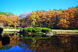 日本庭園・秋