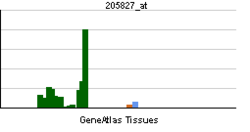 PBB GE CCK 205827 at tn.png