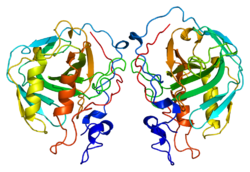 Белок CA4 PDB 1znc.png