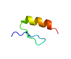 Protein IKBKG PDB 2JVX.png