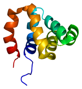 Protein NOD1 PDB 2b1w.png