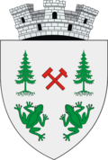 Wappen von Broșteni