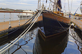 Bloodhound in Leith, 2011