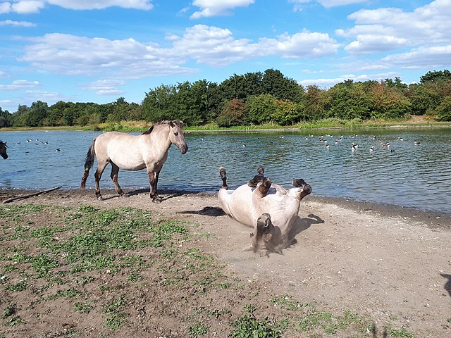 Eijsder Beemden